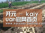 种植基地七(图1)