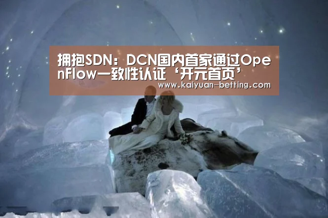 拥抱SDN:DCN国内首家通过OpenFlow一致性认证‘开元首页’(图2) 开元网站