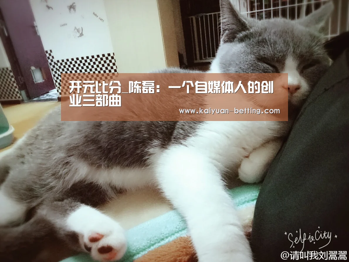 开元比分